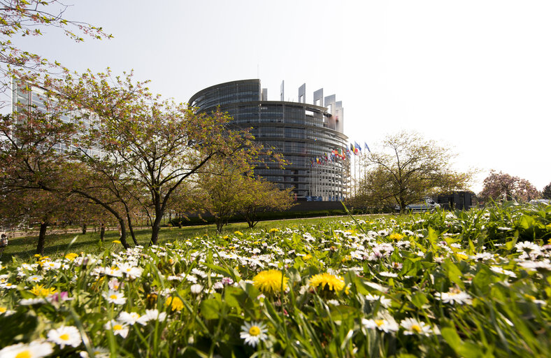 Parlamentin viikko 17/2024: Täysistunto Strasbourgissa